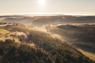 Densely wooded hills in morning light, surrounded by fog and fields, Gechingen, Hecken and GÃ¤u