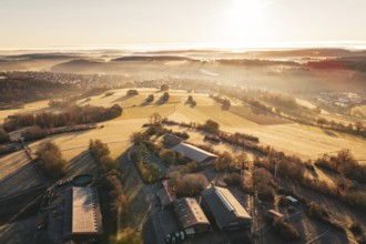 Wide view of fields and farm in fog with gentle sunrise in the distance, Gechingen, Hecken and GÃ¤u