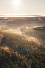 Dense forests at dawn with sun rays penetrating the fog, Gechingen, Hecken and GÃ¤u region, Calw
