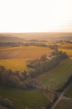 Wide landscape with fields and trees, under a soft, golden sunset, Gechingen, Hecken and GÃ¤u