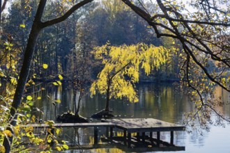 Autumn colors and a fishing platform on Sandbrack, a lake in the Kirchwerder district of Hamburg.