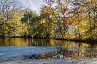 Trees in autumn colors on Sandbrack, a lake in the Kirchwerder district of Hamburg. FÃ¼nfhausen,