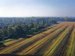 Autumn fields near FÃ¼nfhausen in Hamburg's Vier- und Marschlanden. aerial view. FÃ¼nfhausen,