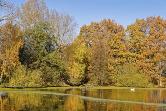 The Sandbrack, a lake in the Kirchwerder district of Hamburg, in front of colorful autumn trees.