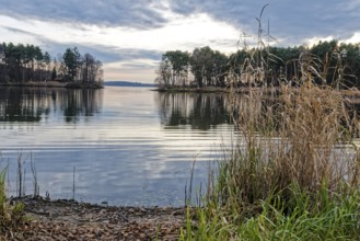 Neuendorfer See in the evening near Alt Schadow, MÃ¤rkische Heide, in the Spreewald UNESCO