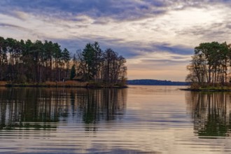 Neuendorfer See in the evening light, MÃ¤rkische Heide, in the Spreewald UNESCO Biosphere Reserve.