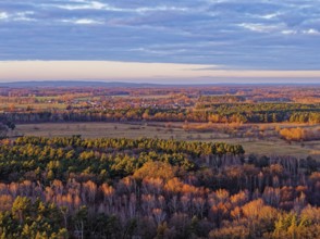 Mixed autumn forest in the evening light near LÃ¼bben in the Dahme-Spreewald district in Lower