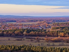 Mixed autumn forest in the evening near LÃ¼bben in the Dahme-Spreewald district in Lower Lusatia.