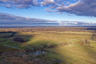 Forest and meadow landscape of GroÃŸ LÃ¼bbenau in the Oberspreewad-Lausitz district, UNESCO