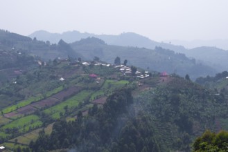 Fields, landscape and jungle, western region, Uganda