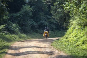 Motorbike on a road through the jungle, western region, Uganda