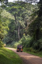 Overloaded car on a road through the jungle, Western region, Uganda