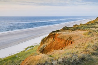 Red Cliff, steep coast on the island of Sylt, Germany