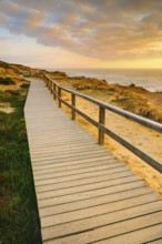 Wooden trail near Kampen along Red Cliff Cliff on the island of Sylt, Germany