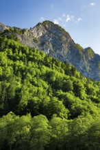NebelkÃ¤ppler, Klöntal, Canton of Glarus, Switzerland