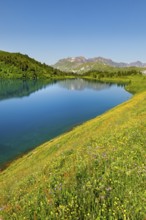 Engstlensee near Engstlenalp with Rothorn and Glogghues in the background, Canton of Bern,