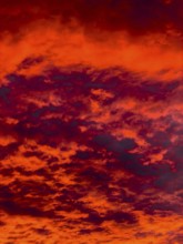 Dramatic dawn with red and black clouds in Hamburg on 02.12.2025, Hamburg, Germany