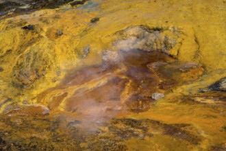 Geological landscape with smoking, mineral-rich surfaces in shades of yellow and orange, geothermal