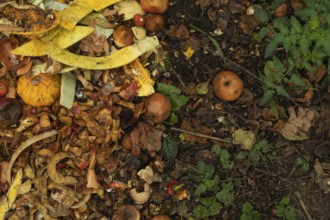 Compost pile made of organic food, leaves, vegetable and fruit Waste mix, Zero waste and Eco
