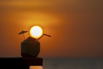 Coconut at sunset on the beach, Koh Chang Island, Andaman Sea, Southern Thailand, Thailand