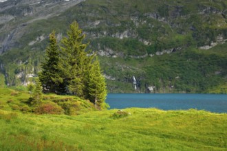 Engstlensee near Engstlenalp, Canton of Bern, Switzerland