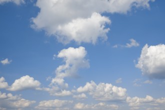 White cumulus clouds on the blue sky