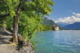 Chillon Castle on Geneva near Veytaux, Canton of Vaud, . switzerland