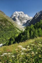 Avalanche at Mt. Collon, Arollatal, Val d'Hérens, Canton of Valais, Switzerland