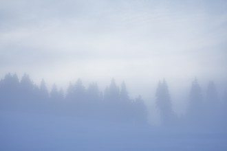 Thick fog slowly clears over snowy landscape