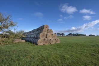 Stacked round straw bales from the agricultural cooperative on a meadow, Othenstorf,