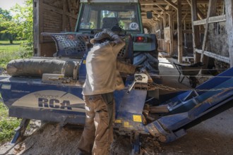 Young man sawing and splitting a beech log with his saw cutting machine with a conveyor belt,