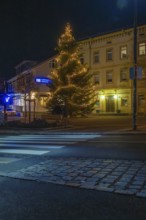 An illuminated tree in front of a building at night, street in the foreground, Aidlingen, Böblingen