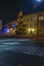 An illuminated tree in front of a building and across a paved road, Aidlingen, Böblingen district,