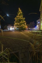 A Christmas tree with lights and a visible moon at night, Aidlingen, Böblingen district, Germany