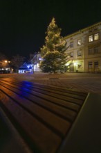 A festively illuminated tree at night, bench in the foreground, Aidlingen, Böblingen district,
