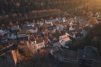 Scene with village houses and forest in the background in warm evening light, Dillweisenstein,