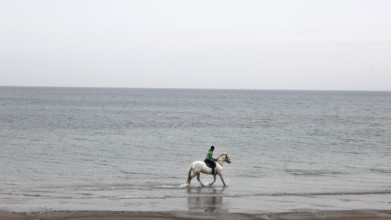 A female rider riding on a mold through the shallow water of the Baltic Sea, Scharbeutz, 27.11