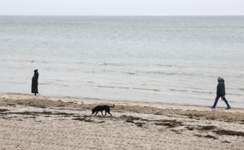 Woman with man and dog on the Baltic Sea beach, Scharbeutz, 27.11.2025, Scharbeutz,