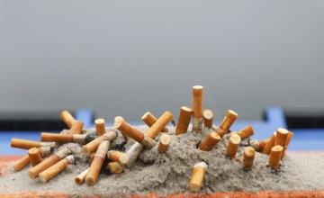 Close-up of cigarette butts stuck in ash and sand, 27.11.2025, Scharbeutz, Schleswig-Holstein,