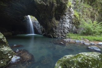 Natural Bridge Springbrook National Park Waterfall in the Basalt Cave, Queensland Gondwana