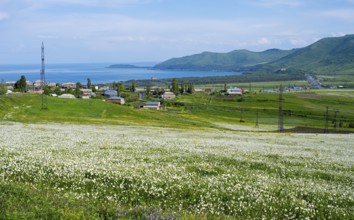 Wide view of flower fields and hills with a distant lake and village, view of Tsovagiugh and Lake