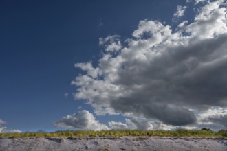 Beach oats (Ammophila) on the beach, rain clouds (Nimbostratus), Baltic Sea, DarÃŸ,