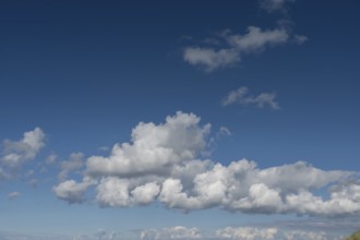 Heap clouds (cumulus) in the blue sky, Ahrenshoop, Mecklenburg-Western Pomerania, Germany
