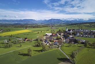 View of town with field of blooming rapeseed, Rigi and the snowy Alps in the back, Beinwil,