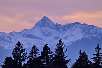 Snowy Ritzlihorn in evening light, Bernese Alps, Canton, Bern, Switzerland