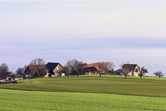 Village above a sea of fog, Brunnwil, Freiamt, Canton, Aargau, Switzerland