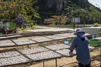 Fishermen with dried squids, Klong Wan, Prachuap Khiri Khan, Prachuap Khiri Khan Province, Central
