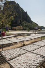 Dried squids, Klong Wan, Prachuap Khiri Khan, Prachuap Khiri Khan Province, Central Thailand,
