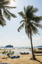 Beach with coconut trees and fishing boats, Thun Thong, Chumphon, Chumphon Province, Central