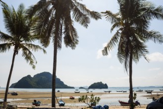 Beach with coconut trees and fishing boats, Thun Thong, Chumphon, Chumphon Province, Central